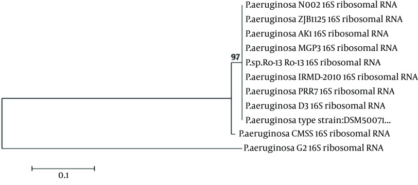 Figure 1.