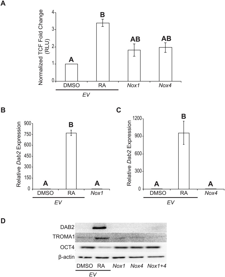 Fig 7