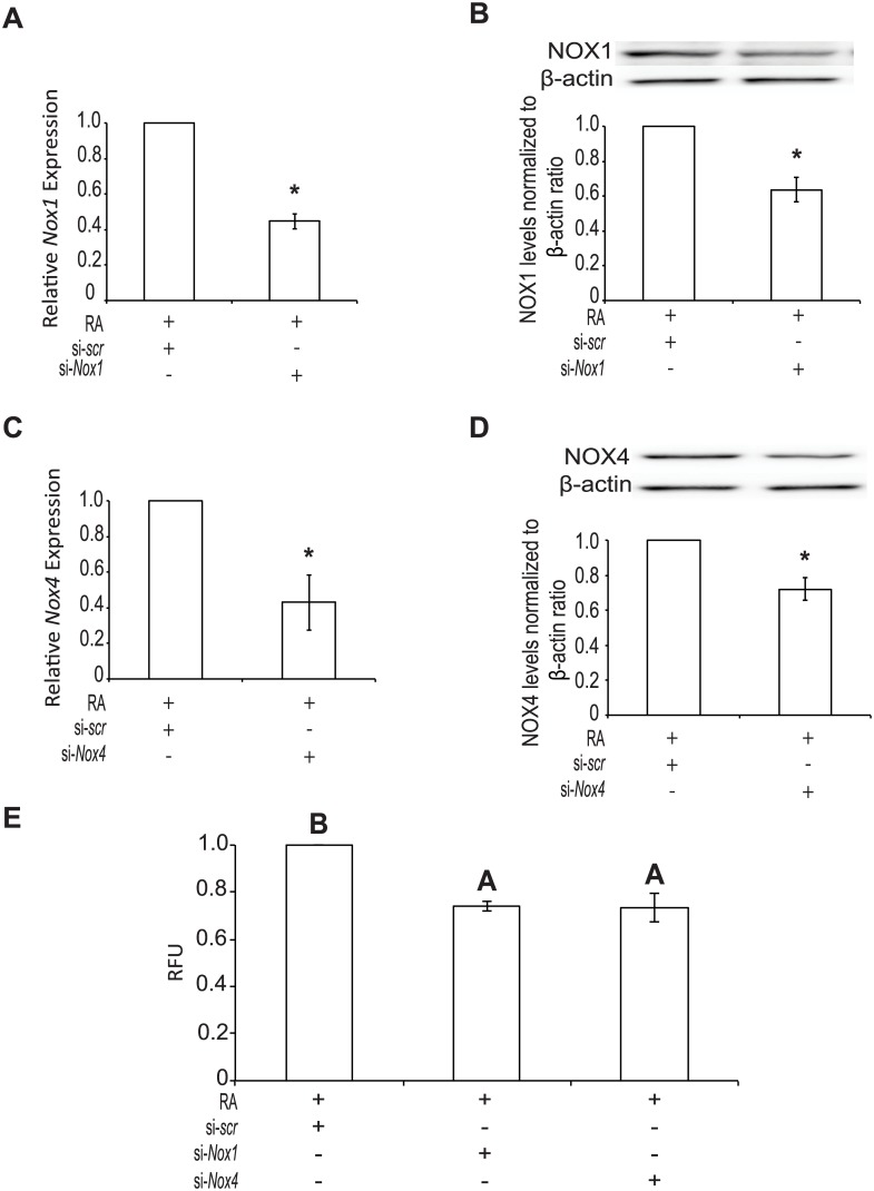 Fig 4