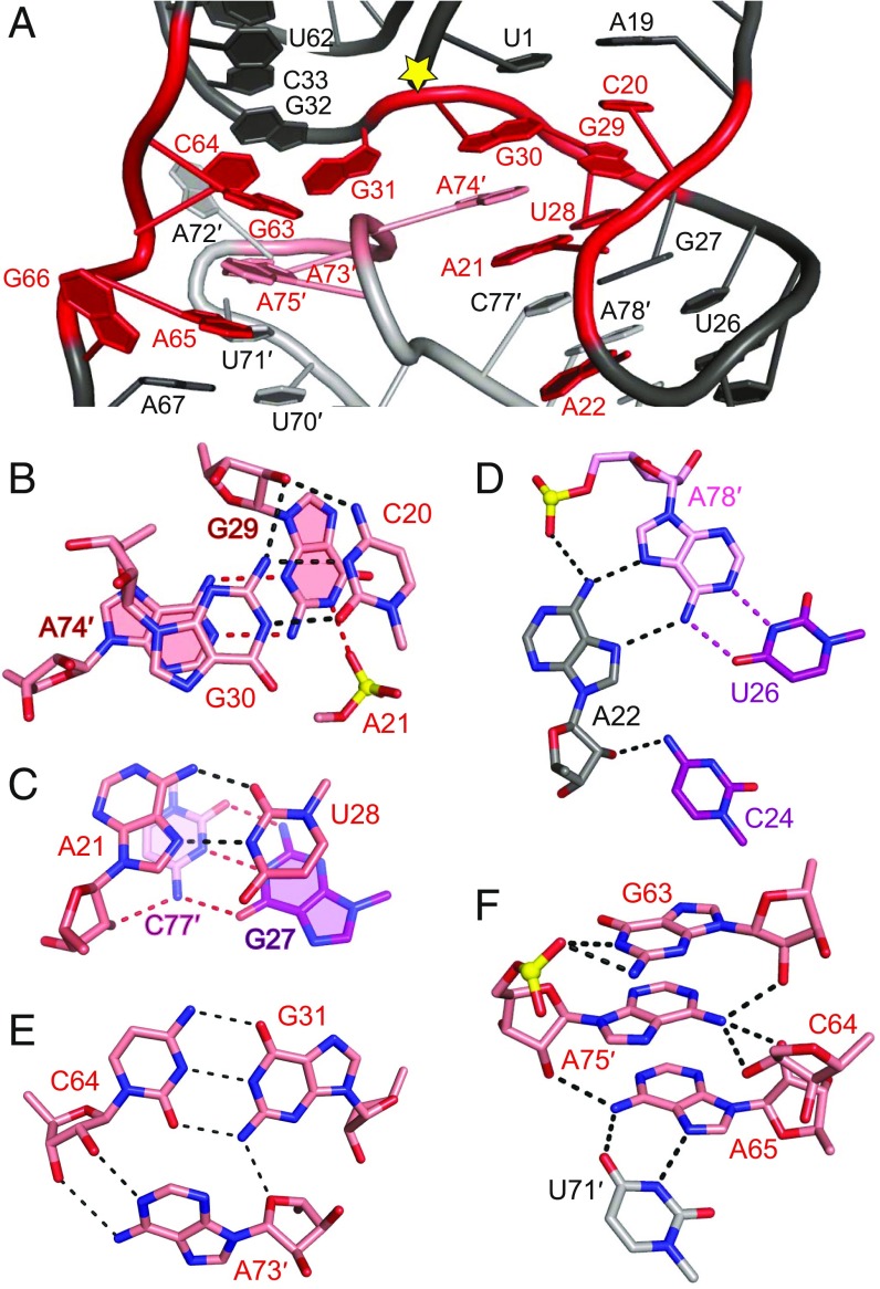 Fig. 2.