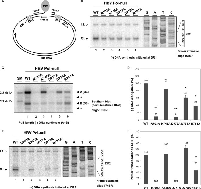 FIG 6