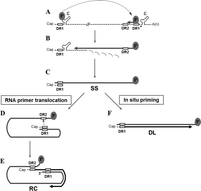 FIG 1