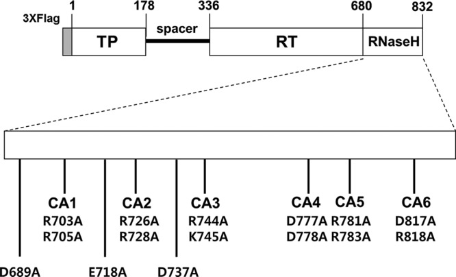 FIG 2