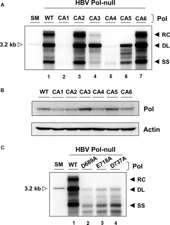 FIG 3