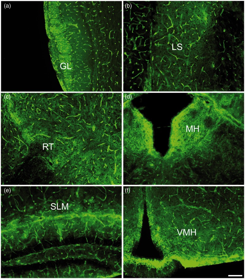 Figure 3.