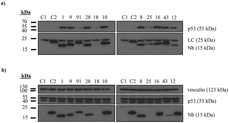 Figure 3.