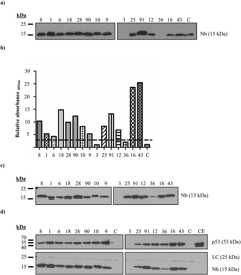 Figure 1.