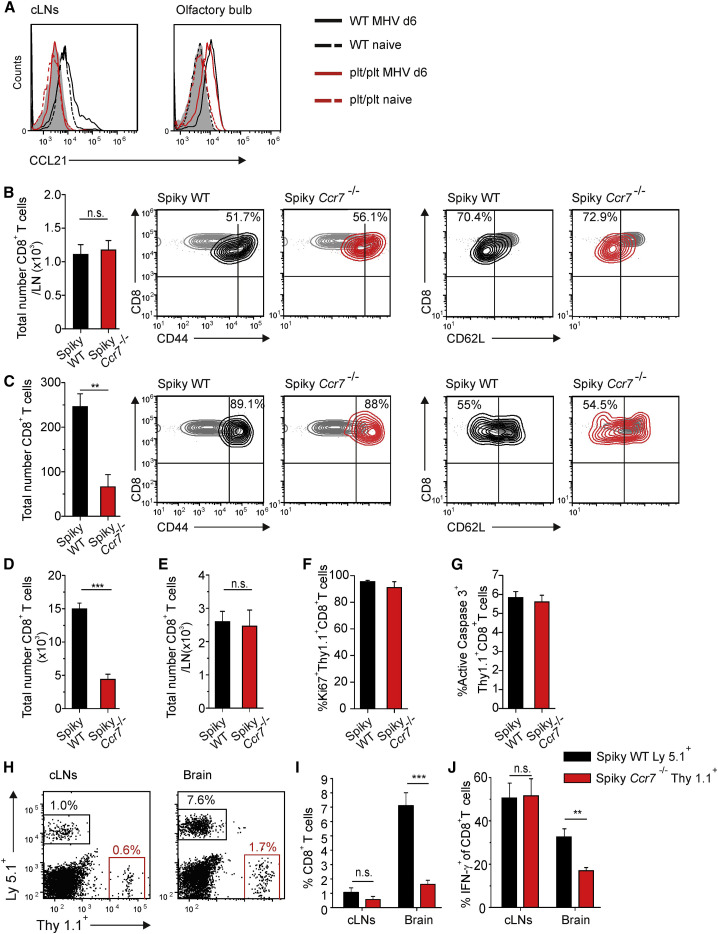 Figure 6