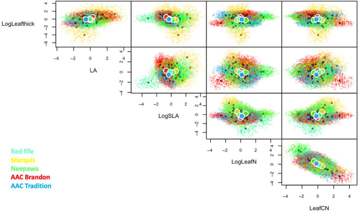 FIGURE 4