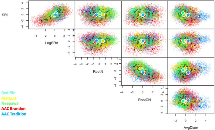 FIGURE 3