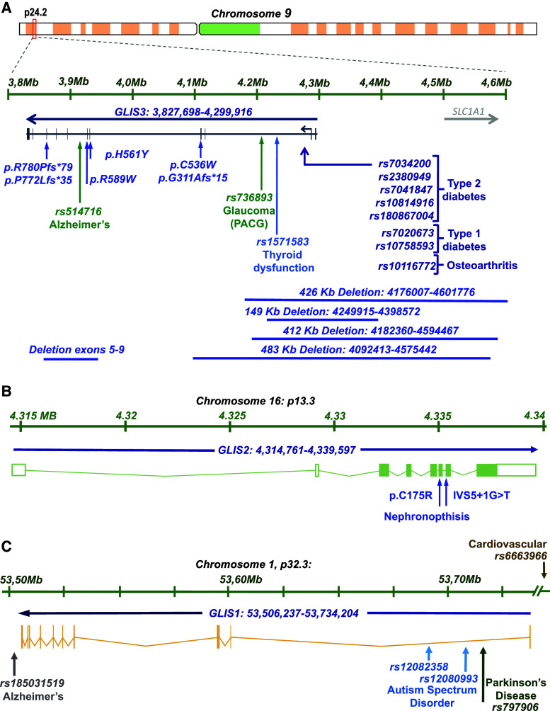 Fig. 2