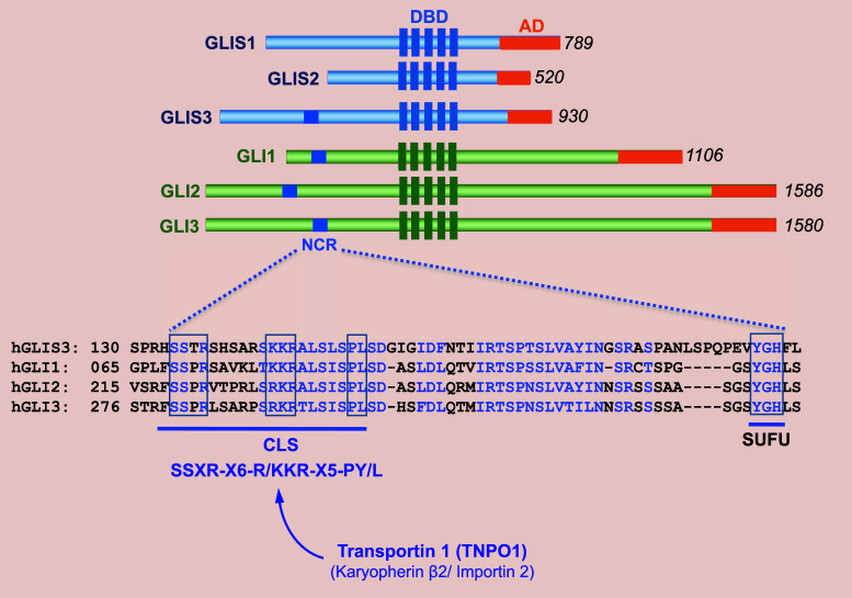 Fig. 1