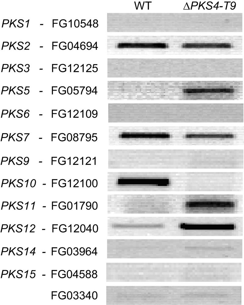 FIG. 7.