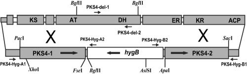 FIG. 2.