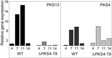 FIG. 6.