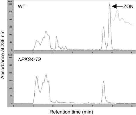 FIG. 5.