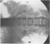 736-1
