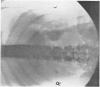 736-1