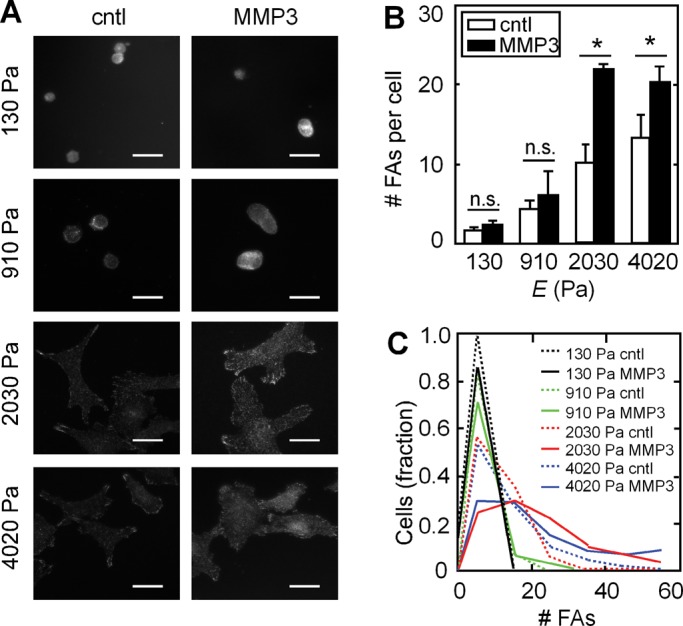 FIGURE 6: