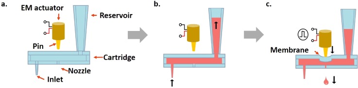 FIG. 2.