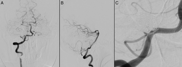 Figure 7