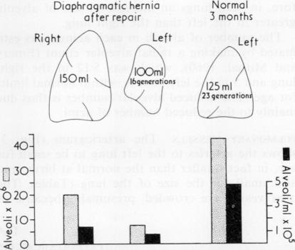 graphic file with name thorax00148-0087-b.jpg