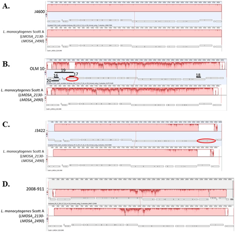 FIG 3