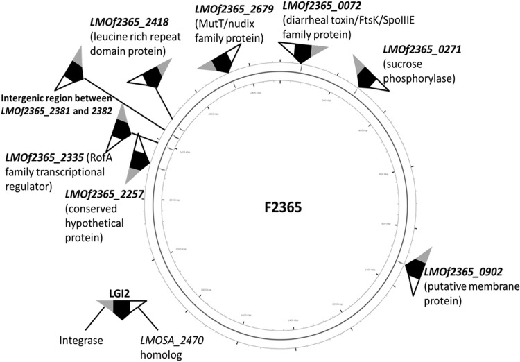 FIG 2