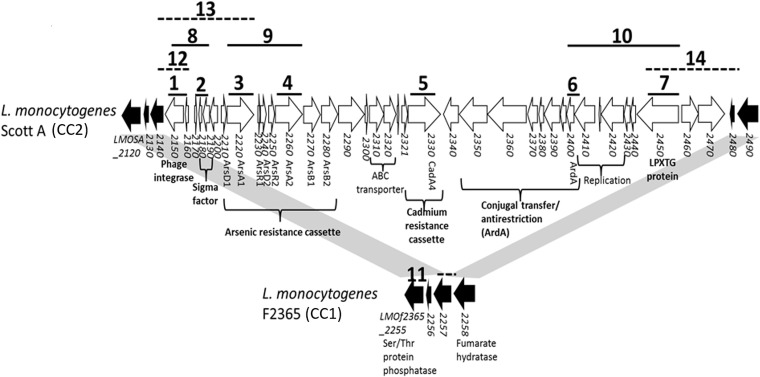 FIG 1