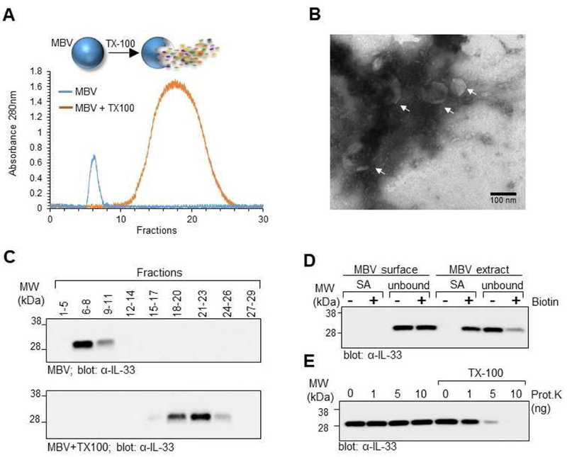 Fig. 2: