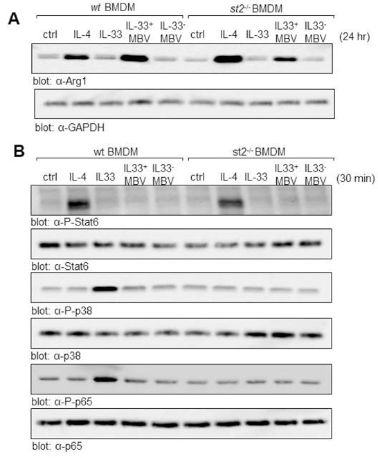 Fig. 4: