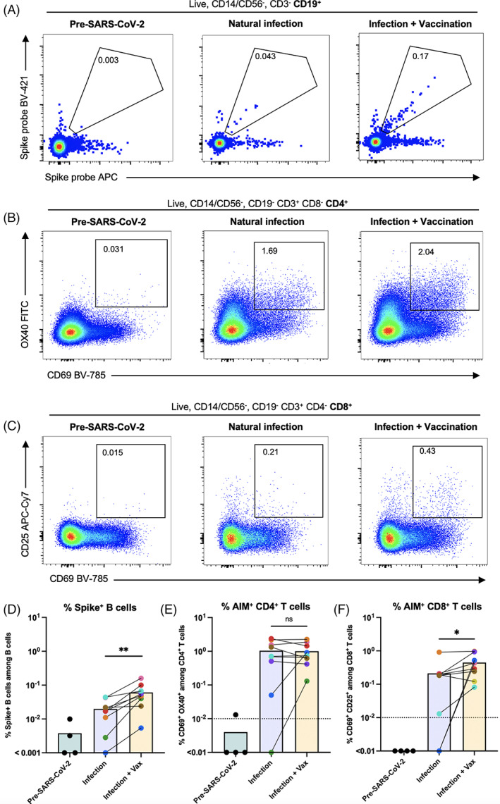 FIGURE 3