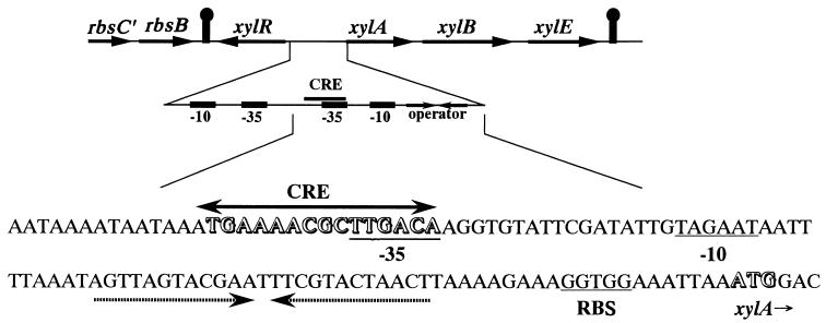 FIG. 1