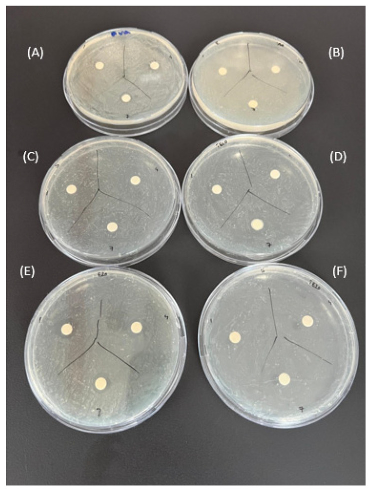 Figure 19