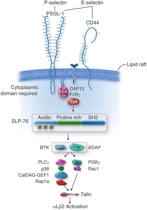 Figure 3