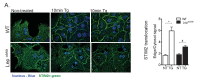 Figure 1—figure supplement 3.