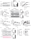 Figure 3—figure supplement 2.