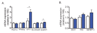 Figure 5—figure supplement 1.