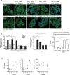 Figure 1—figure supplement 2.