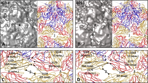 FIG. 8.