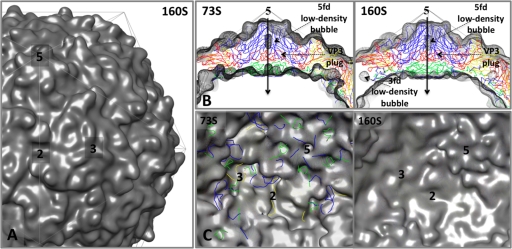 FIG. 4.