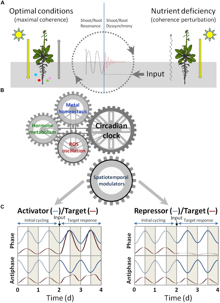 FIGURE 2