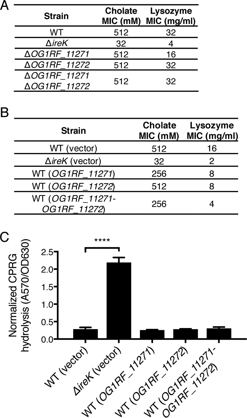 FIG 6