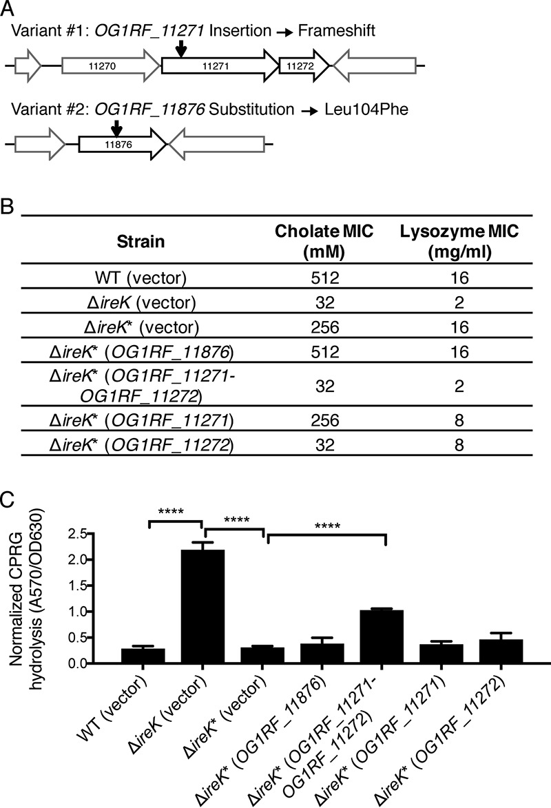 FIG 4