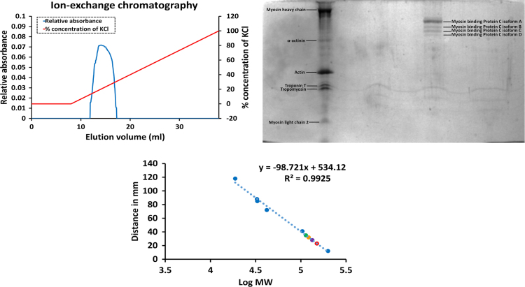 Fig. 1.3