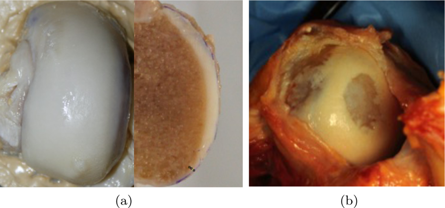 Figure 1: