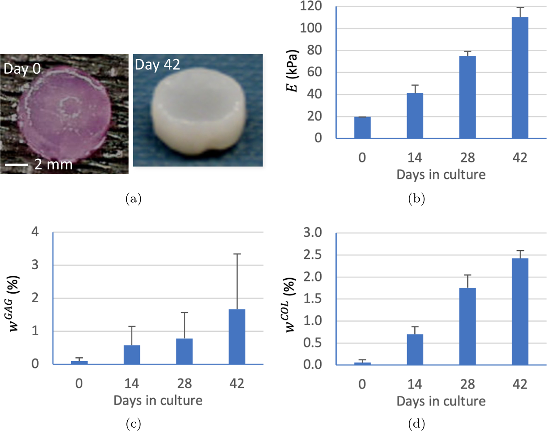 Figure 2: