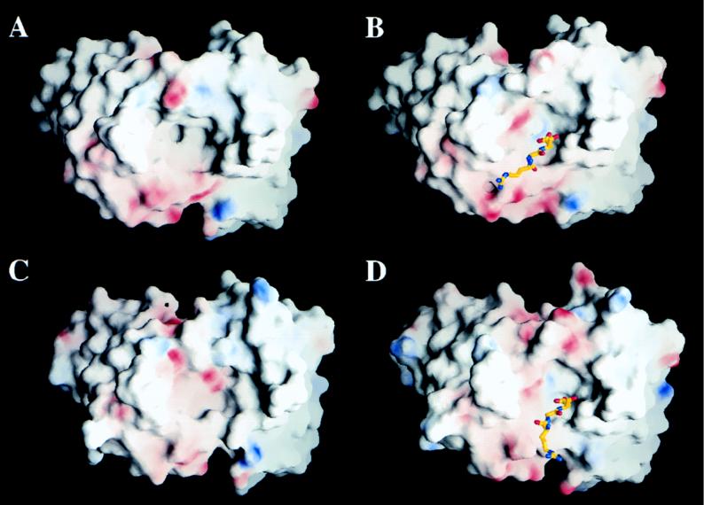 FIG. 6