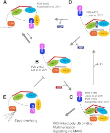 FIGURE 5.