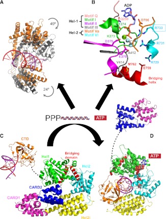 FIGURE 4.